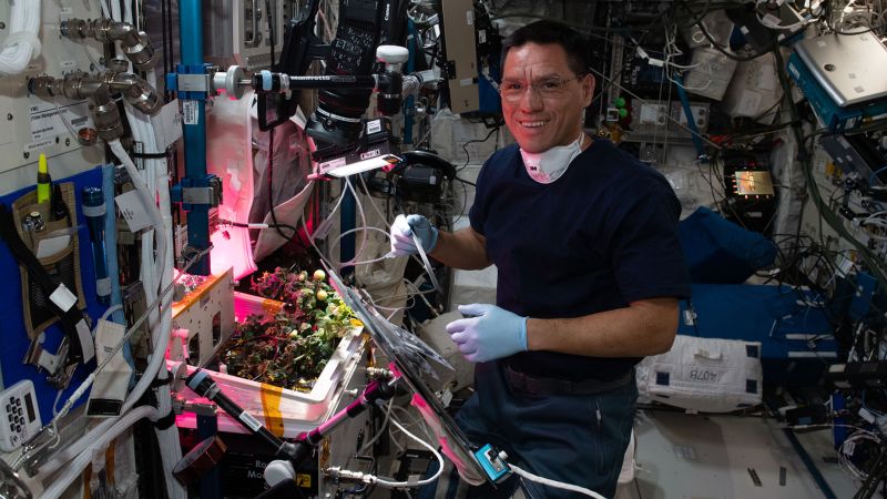 Tomaten verloren door Frank Rubio aan boord van het ruimtestation en gevonden door andere astronauten