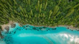 A bird's eye view of a forest in Ile des Pins, New Caledonia.