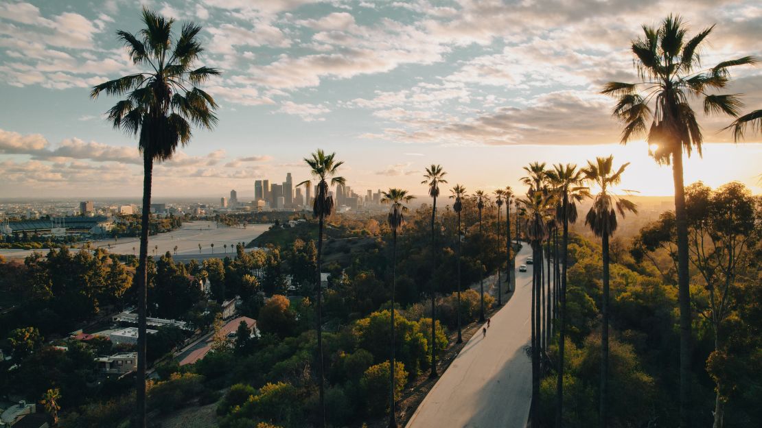 A photo of a palm tree-lined street with the Los Angeles skyline in the background