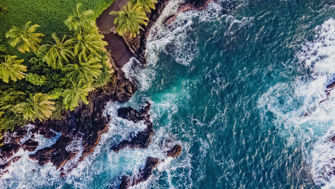 An aerial photo of a rocky coast with palm trees in Maui, Hawaii