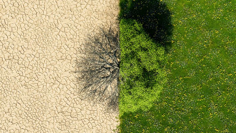 Why the UNCCD COP16 could be critical for tackling global crises as land degradation and drought accelerate