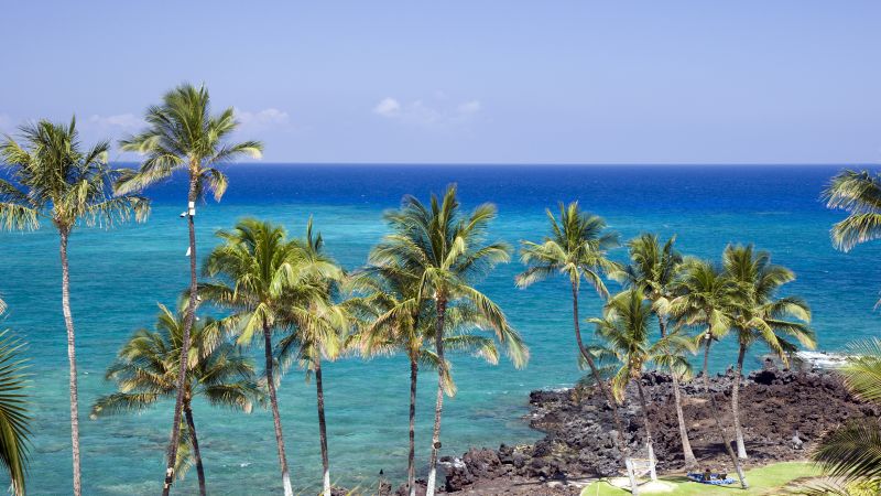 The 5 best ways to fly to Hawaii with credit card points in 2024 | CNN Underscored