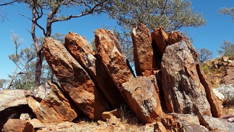 Represents the sample site called "Discovery site W74" Jack Hills, Western Australia.