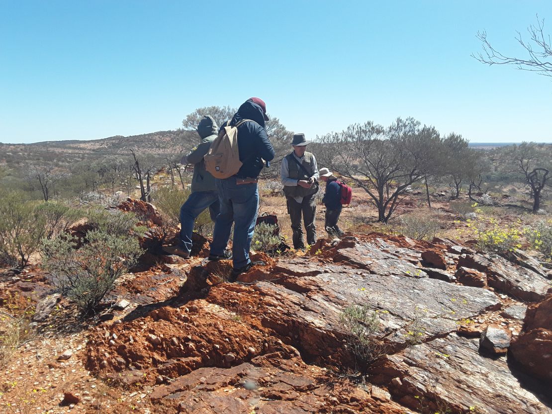 Grains of zircon contain oxygen isotopes that reveal information about the environment they were formed in.