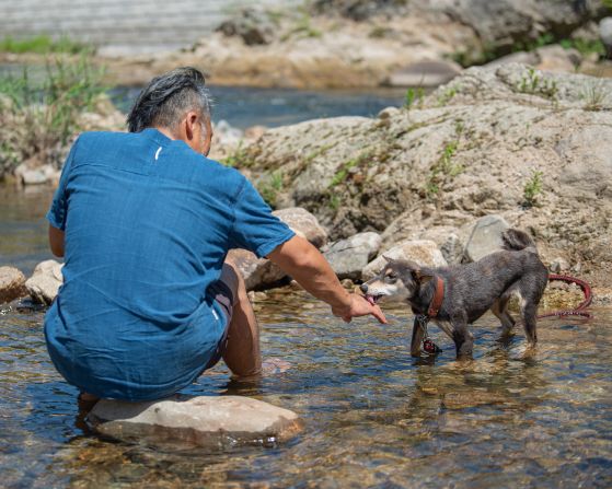 <strong>Rare finds:</strong> Dog breeder Mr. Nagira pictured with his dog, a Jomon Shiba, a rare type of Shiba Inu that can be found in Japan.