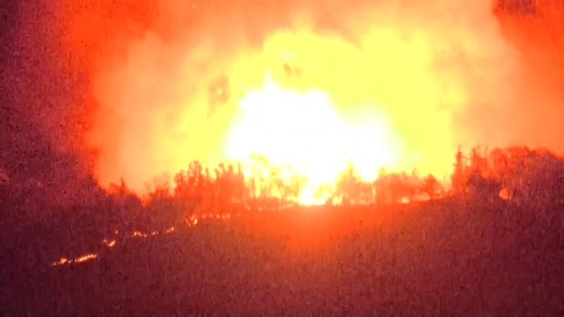 Video shows Japan battling the worst wildfire in decades