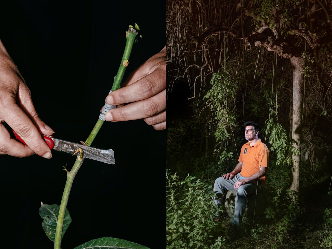 The "Tropicalia" series documents how Sicilian farmers are adapting to climate change. Francesco Verri (right) has started cultivating tropical fruits such as mangoes in response to rising temperatures on the island.