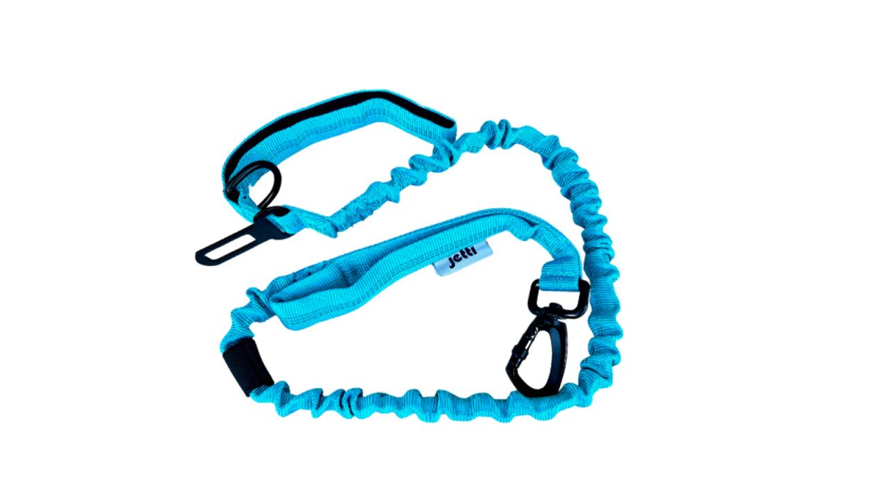Jetti Dog Leash cnnu.jpg