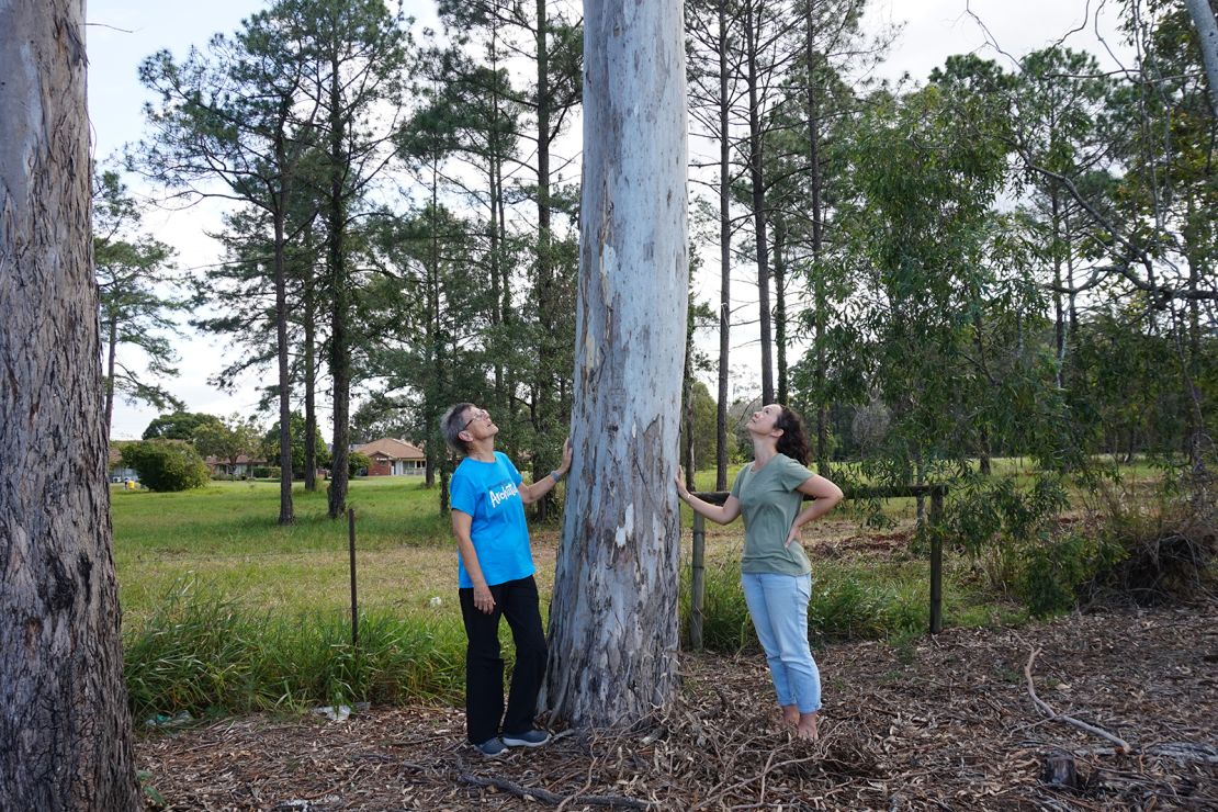 Residents Jo Murray (left) and Colleen Holland with another tree they fear could be taken, too.