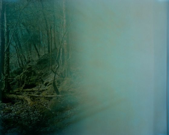 She used an analogue camera and took long exposure images, where the camera’s shutter stayed open for at least two hours. This created unique effects and blurs as wind blew branches and raindrops fell on the camera lens. The photos were printed on archival pigment paper. Pictured: Grey Park Wood, Devon, England.