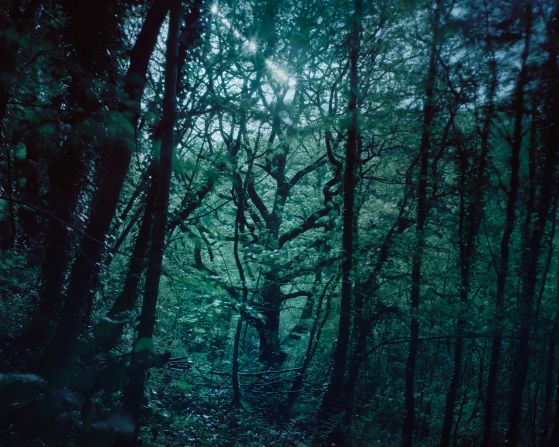 British photographer Joanna Vestey’s project “3 Days/2 Nights” explores the last surviving temperate rainforests across the UK. Pictured: Pontneddfechan, Powys, Wales.