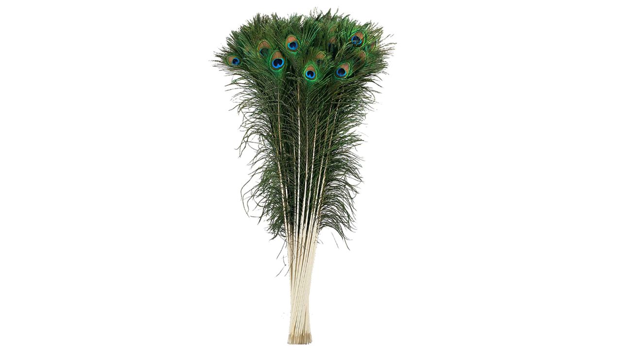 jonathan adler essentials peacock