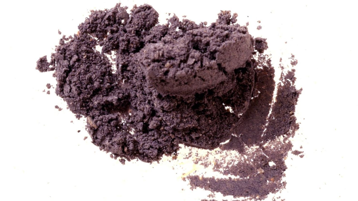 During an excavation on the Greek island Aegina, archaeologists discovered 3,600-year-old Tyrian purple dye.