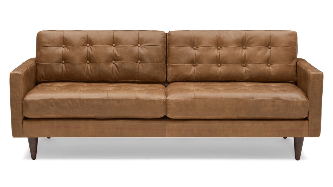 Joybird Eliot Leather Sofa.jpg