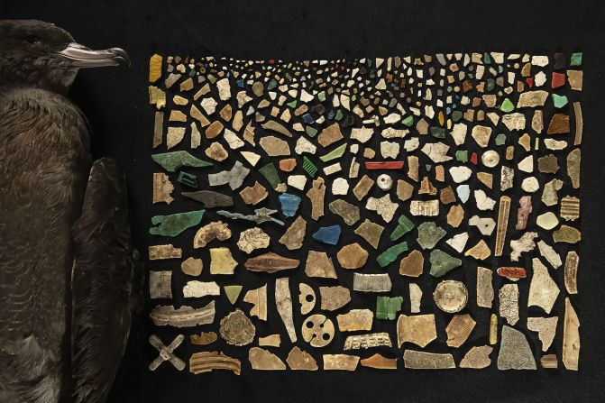 This image shows a mosaic made from 403 pieces of plastic found inside a dead flesh-footed shearwater on Lord Howe Island, Australia, photographed by Justin Gilligan.