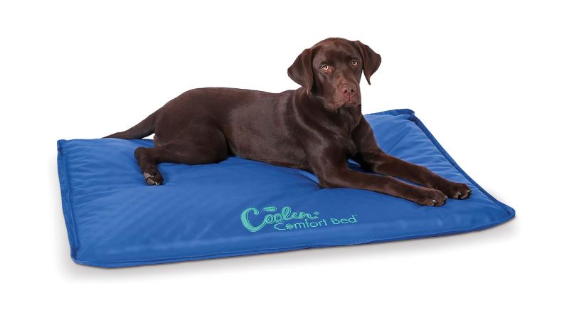 Best cooling mats and pads for dogs in 2024 tried and tested CNN Underscored