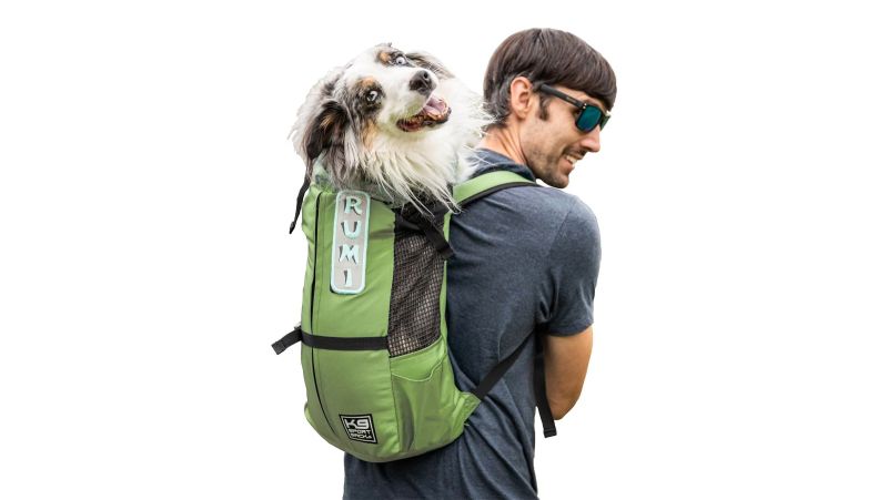 K9 fashion hiking gear