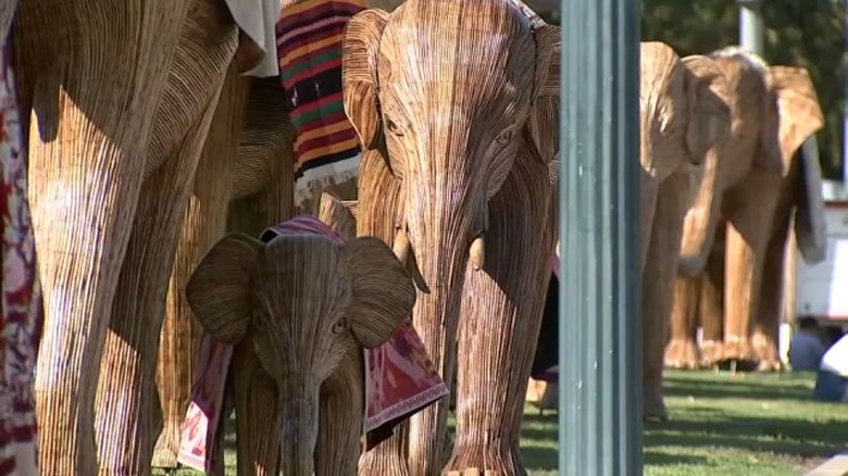 KABC elephants 0704.jpg