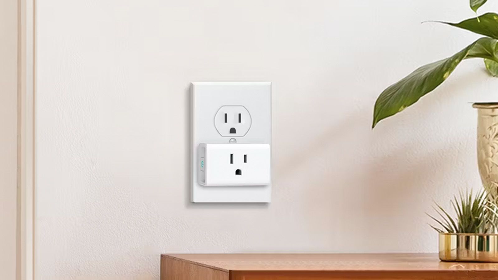 kasa smart plug lead cnnu.jpg