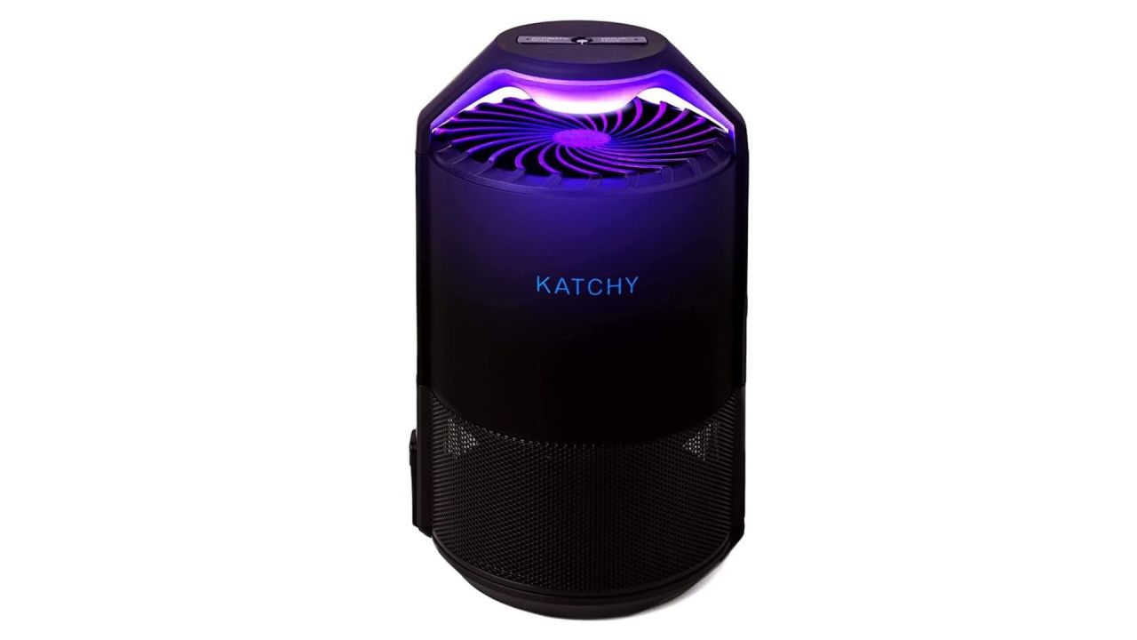 Katchy Midnight.jpg