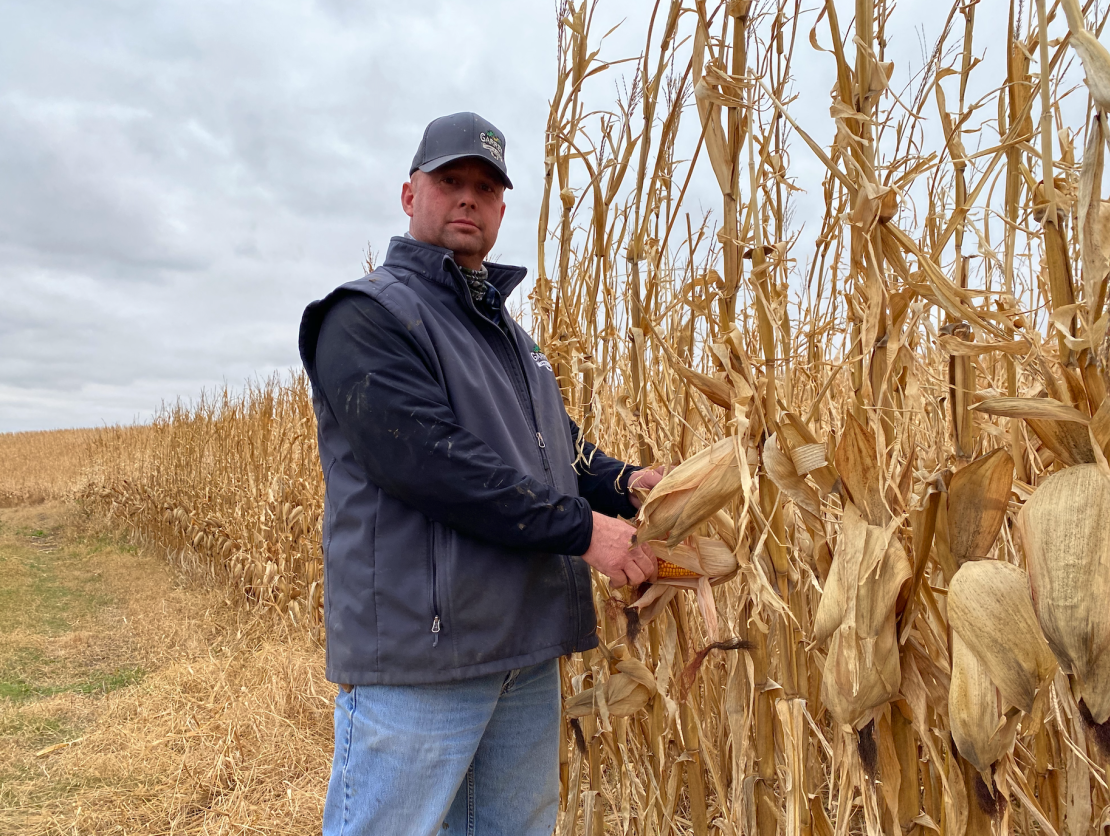 Kelly Garrett of Garrett Land & Cattle, checking corn in Arion, Iowa, in 2020.