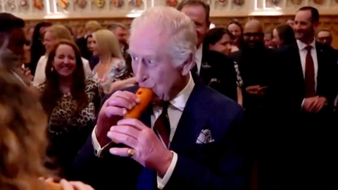 king-charles-carrot-royal-pool-via-reuters-v2.png
