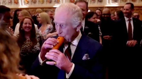 king charles carrot_Royal Pool via Reuters_V2.png