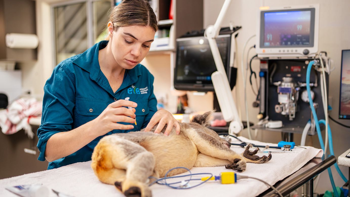 Researchers at Australia's University of the Sunshine Coast took more than a decade to develop the vaccine.