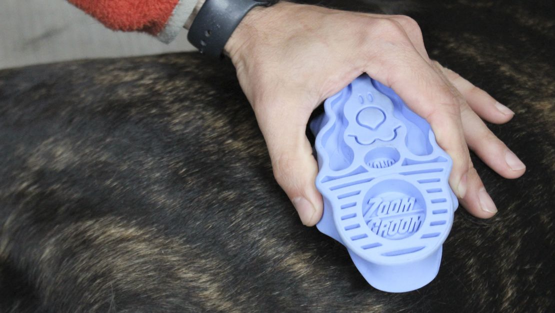 A blue curry dog brush brushing a dog's short hair.