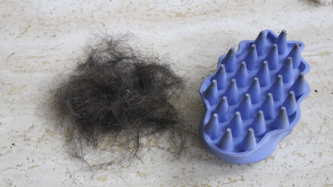 The hair of a dog next to the brush that it came from.