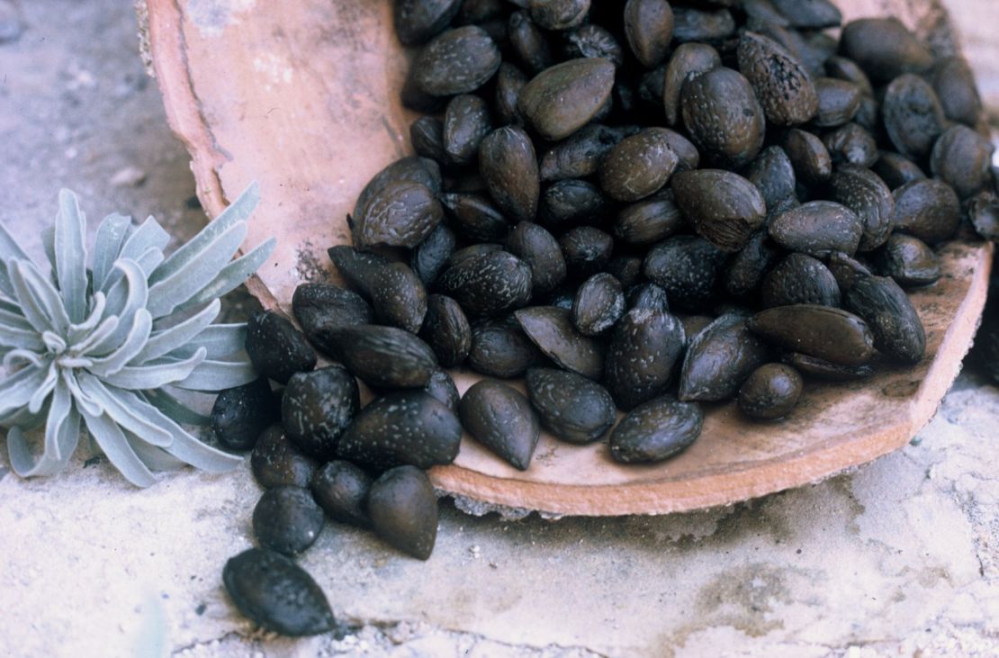 The authors of a new study dated almonds found aboard the Kyrenia ship to find a new estimated range of years for when the ancient vessel's last voyage took place.