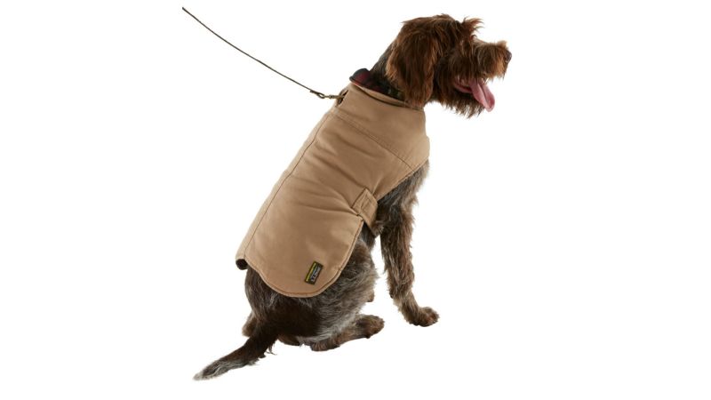 Ll bean dog sales parka