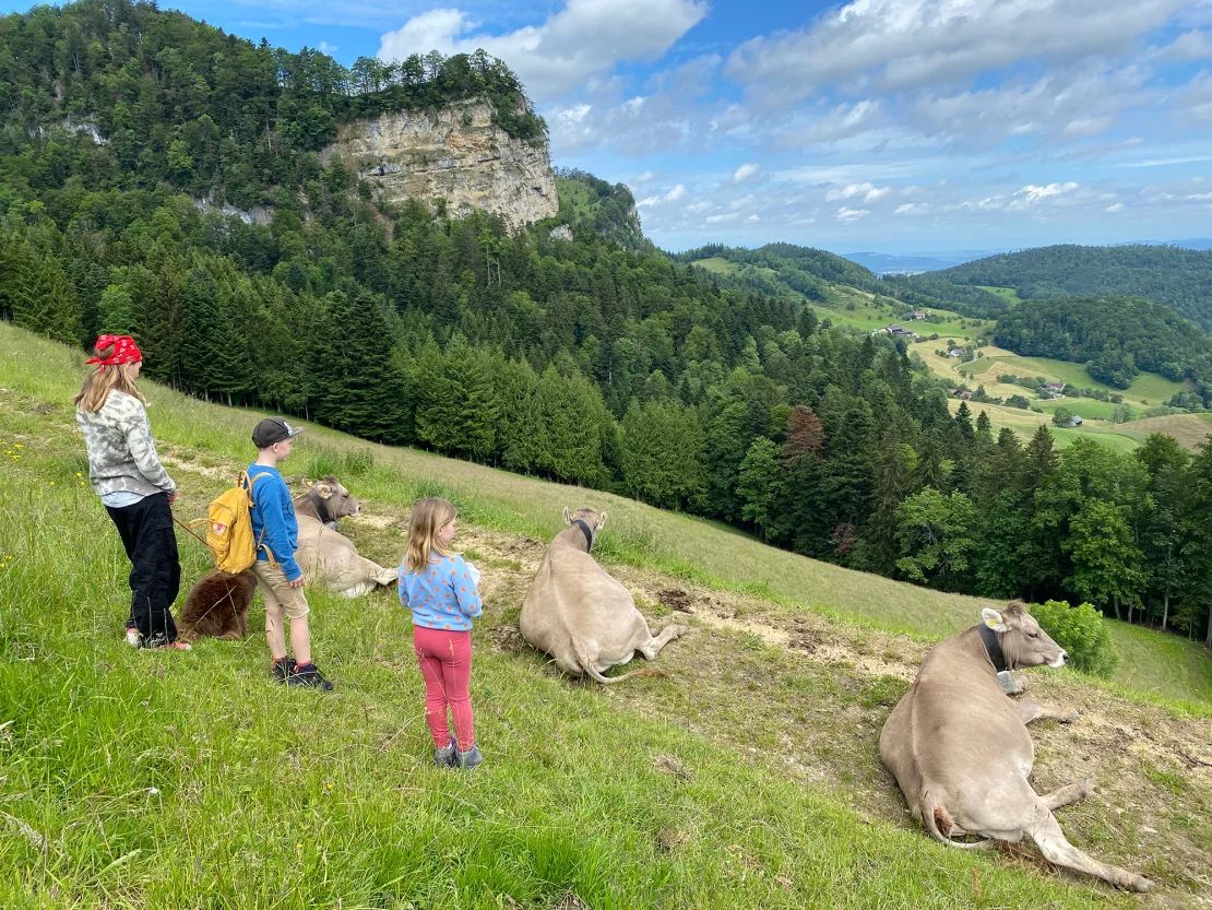 "La vida aquí transcurre sin problemas", dice Erik sobre vivir en Basilea, Suiza.