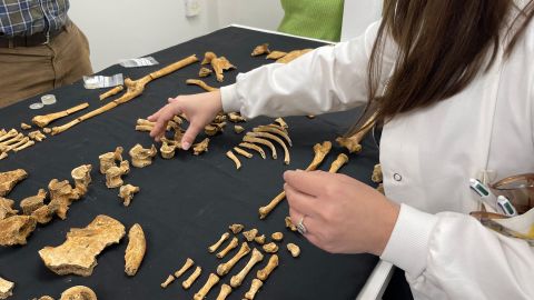 Archeological dig at Fonmon Castle.