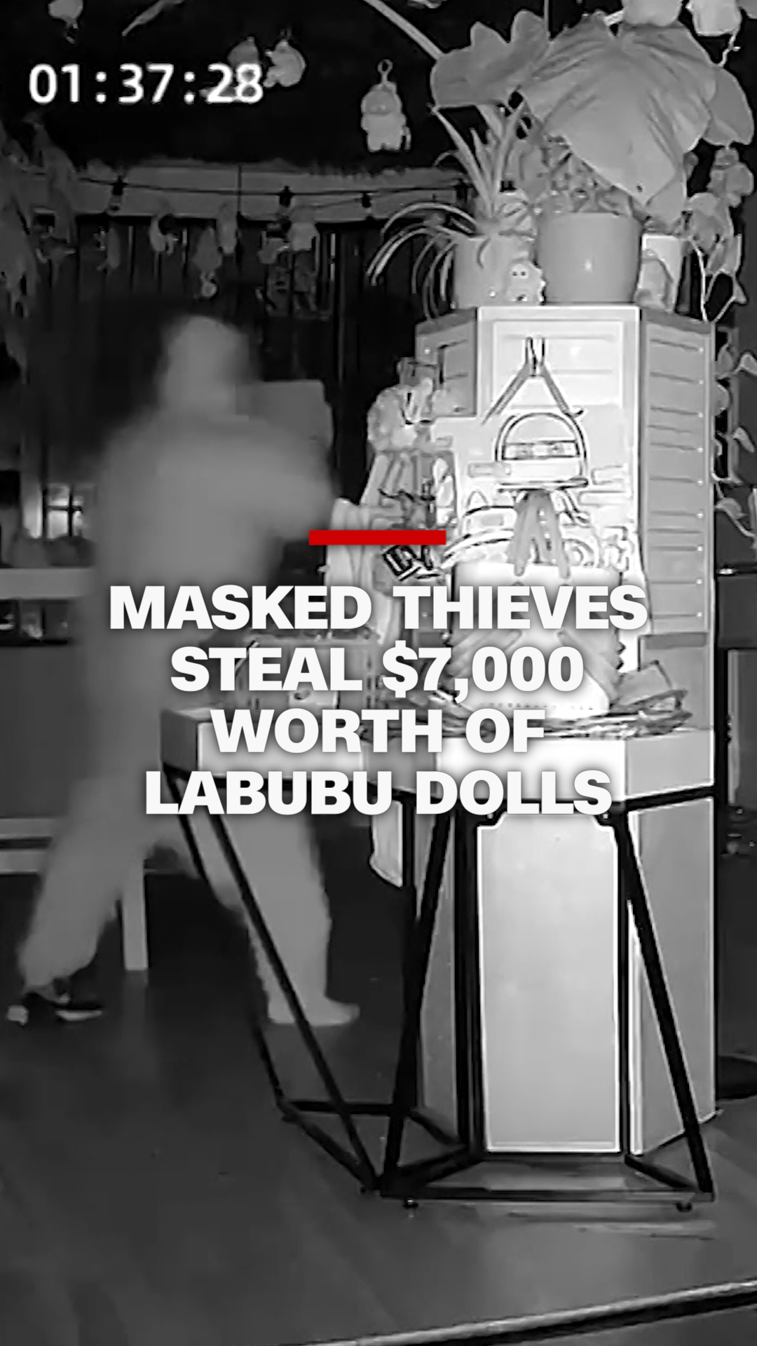 Labubu Theft THUMB VRTC.png