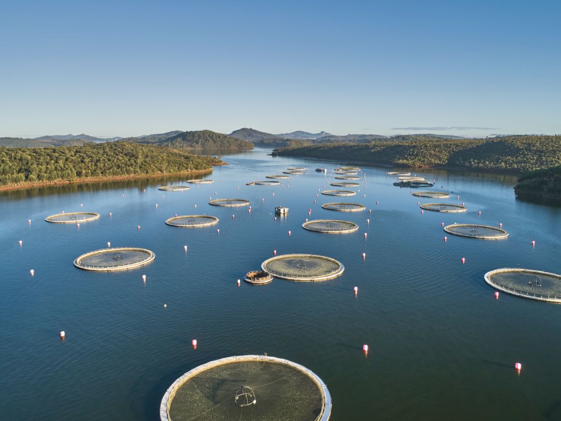 Acipenser says it is working to ensure the sustainability of Lake Mantasoa.