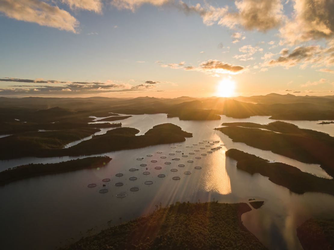 Lake Mantasoa is the place of maturation of sturgeon, which is part of Asipenser's caviar production.