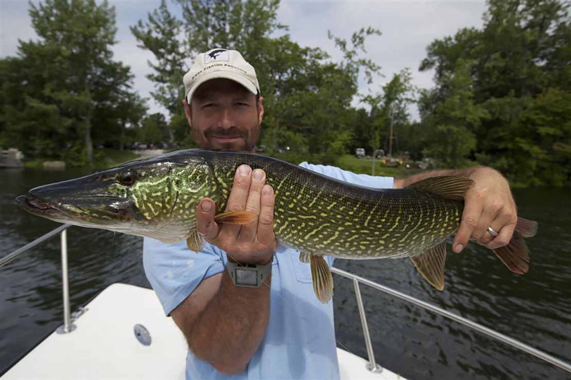 A fisherman shows off his pike-pickerel hybrid.