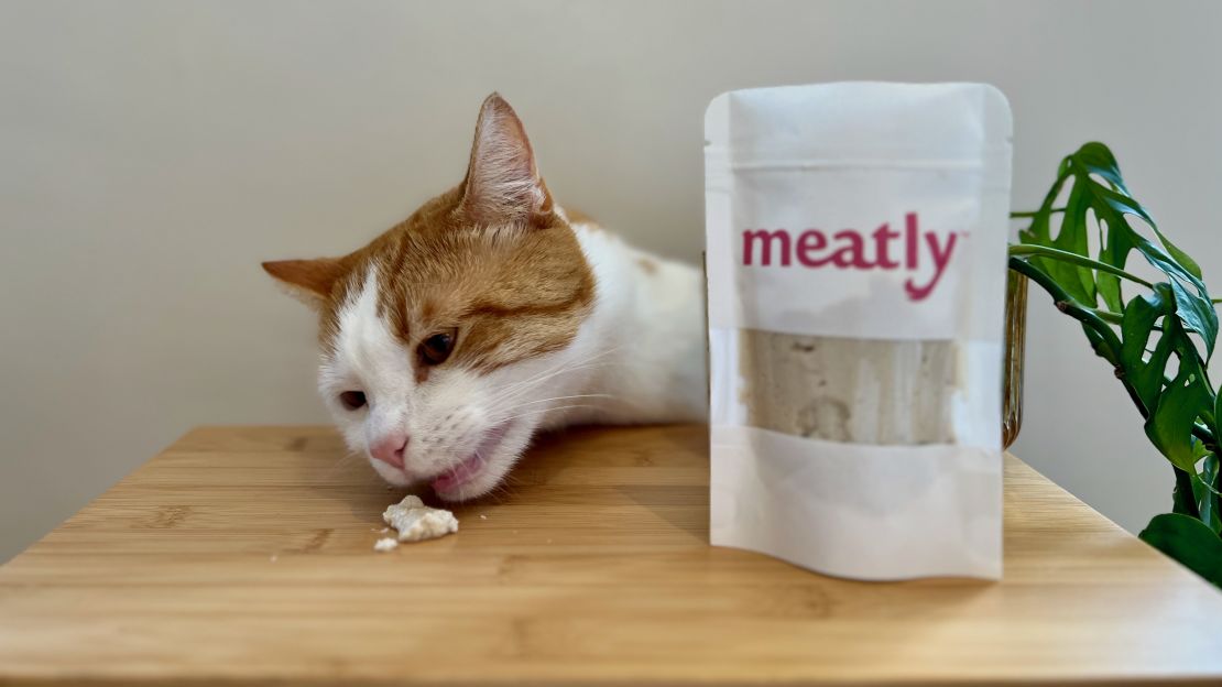 Meatly says the lab-grown chicken meat has tested well with cats and dogs alike.