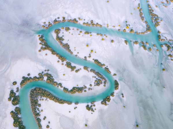 4- A turquoise water channel lined by mangrove trees meanders through the Al Dhafra region of the United Arab Emirates. “Nature’s Ribbon” was photographed by Ammar Alsayed Ahmed and won the mangroves and landscapes category.