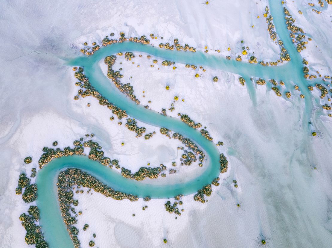 Mangrove trees on the banks of a<strong> </strong>water channel in Al Dhafra, United Arab Emirates.