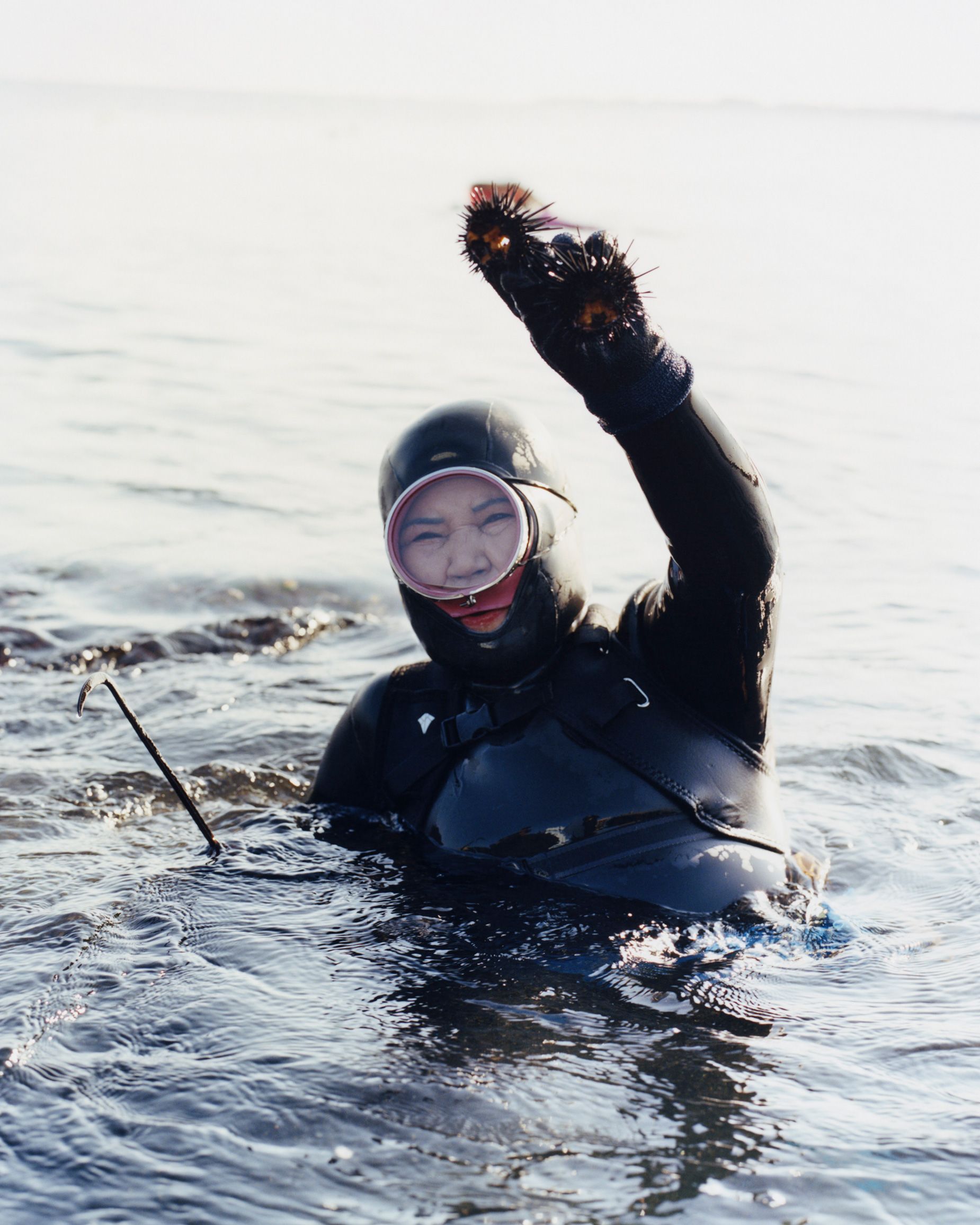 A Haenyeo diver surfaces, sea urchins in her hand.