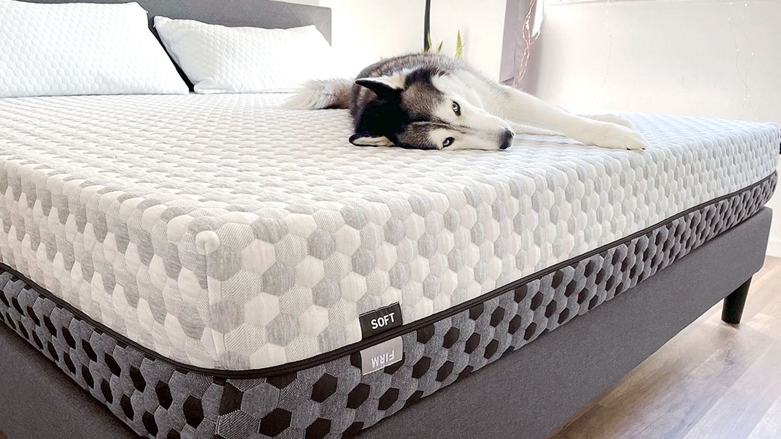 Made in China Fashion Style Bedroom Furniture Comfortable Bed Foam Mattress  - China Foam Mattress, Mattress