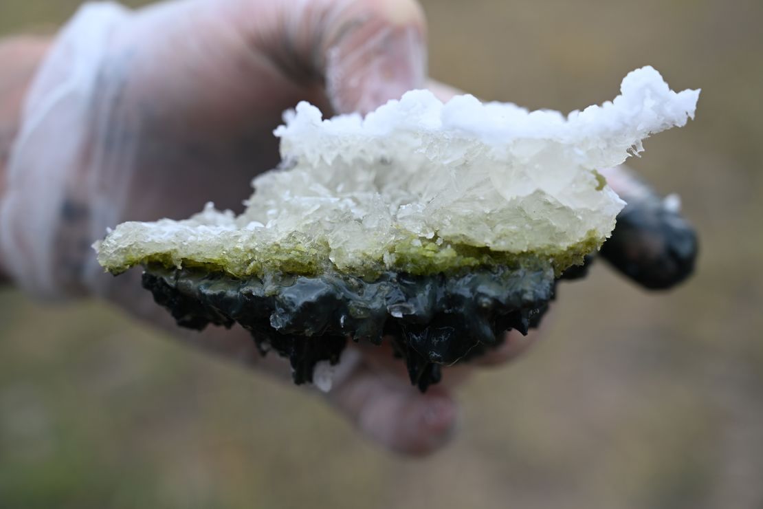 Haas displays a piece of dry-season lake crust taken from Last Chance Lake in September 2022. The researchers used the lake as an "analog environment" to understand soda lakes on early Earth.