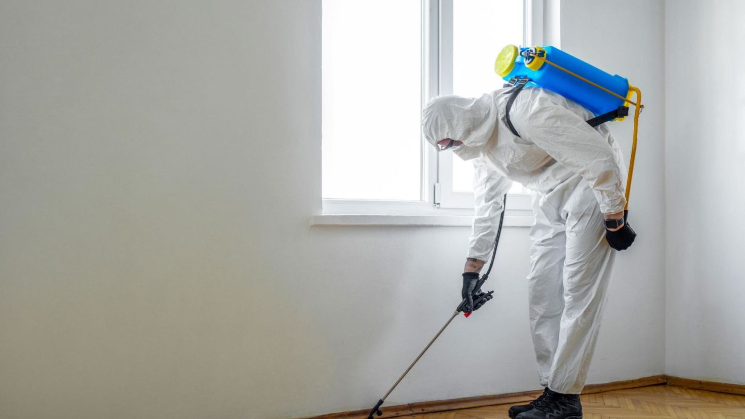 Exterminator at work spraying pesticide or insecticide with sprayer