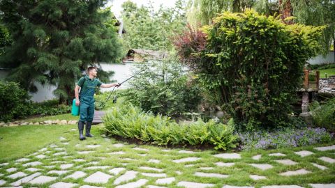 Pest control technician spraying pesticide on a landscaped yard.