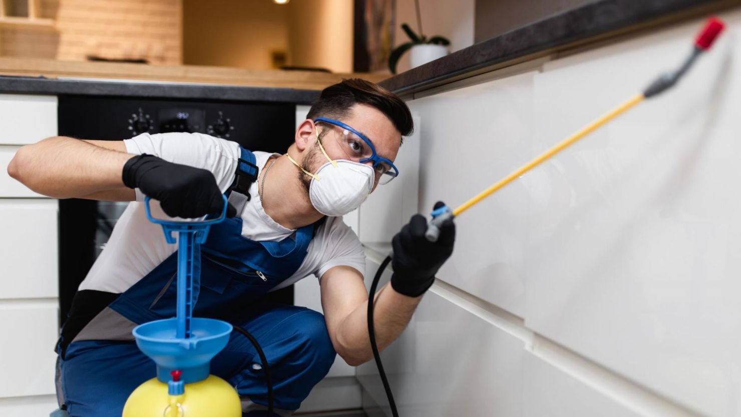 Exterminator spraying pesticide under a kitchen counter.