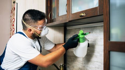  Pest control technician spraying pesticide inside a house.