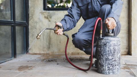 Exterminator spraying the exterior of a home.