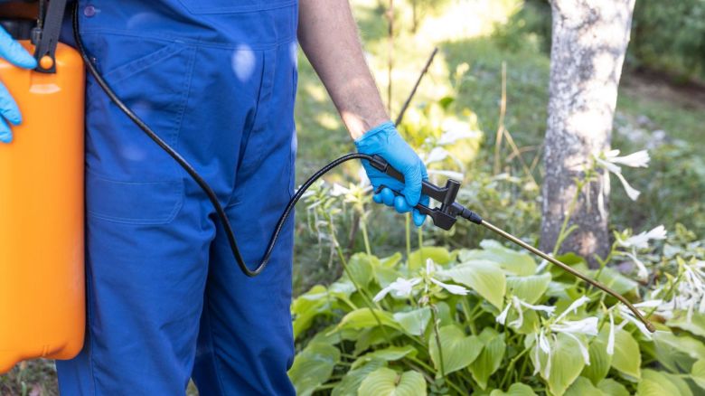 Pest control technician spraying pesticide on plants.